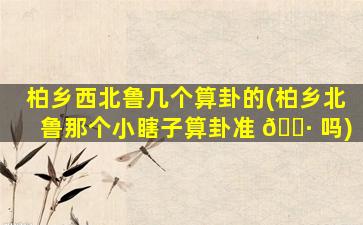 柏乡西北鲁几个算卦的(柏乡北鲁那个小瞎子算卦准 🕷 吗)